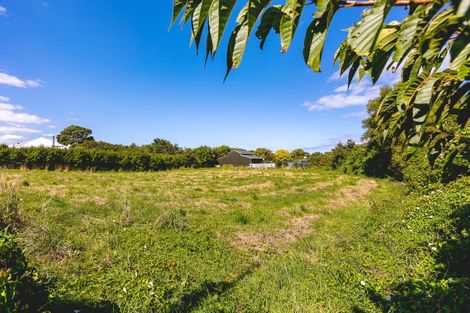 Photo of property in 84 South Road, Manaia, 4612