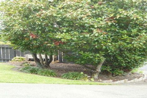 Photo of property in 1/39 Killarney Avenue, Torbay, Auckland, 0630