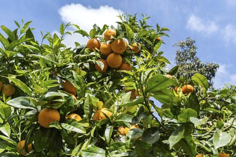 Photo of property in 15 Linda Street, Oakura, 4314