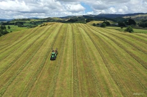 Photo of property in 211 Waitetuna Valley Road, Waitetuna, Raglan, 3295