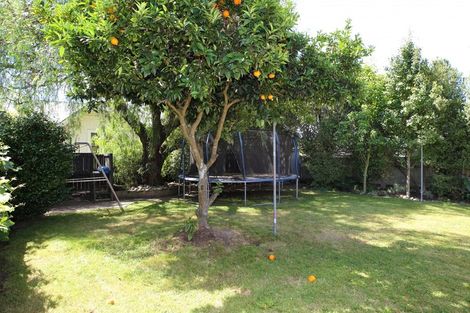 Photo of property in 1019 Duke Street, Mahora, Hastings, 4120