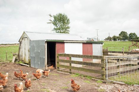 Photo of property in 367 Pinny Road, Otorohanga, 3976