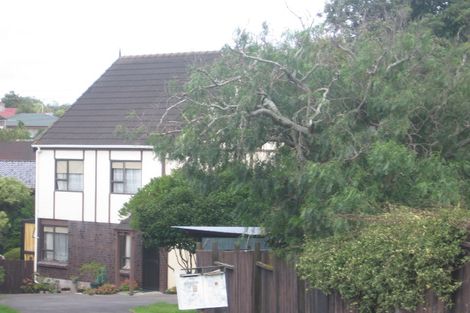 Photo of property in 2/8 Nile Road, Milford, Auckland, 0620