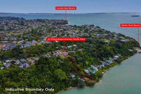 Photo of property in 41 Pohutukawa Avenue, Shelly Park, Auckland, 2014