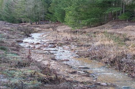 Photo of property in 42 Broom Street, Naseby, 9396