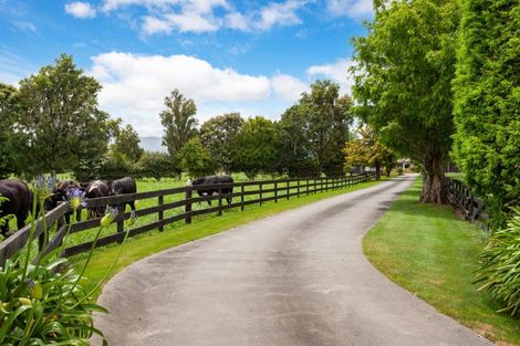 Photo of property in 1503 Alexandra Road, Waharoa, 3474