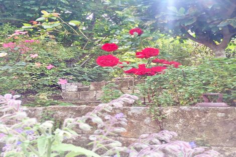 Photo of property in 8 Yare Street, Oamaru, 9400