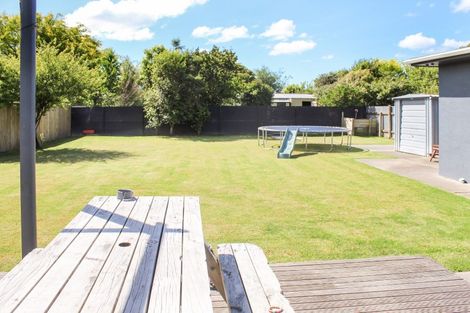 Photo of property in 175 Tremaine Avenue, Westbrook, Palmerston North, 4412