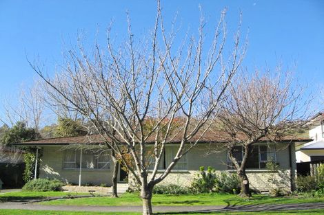 Photo of property in 5 Toop Street, Havelock North, 4130