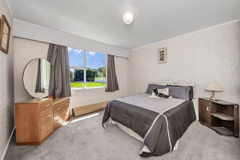 Photo of property in 52 Leslie Street, Waiau, 7332