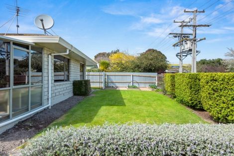 Photo of property in 209a Weld Street, Witherlea, Blenheim, 7201