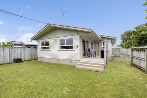 Photo of property in 254 Huatoki Street, Upper Vogeltown, New Plymouth, 4310