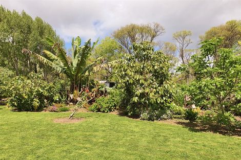 Photo of property in 7 Williams Street, Kawakawa, 0210
