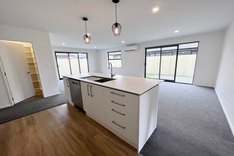 Photo of property in 3 Sarah Nicholls Street, Belfast, Christchurch, 8051