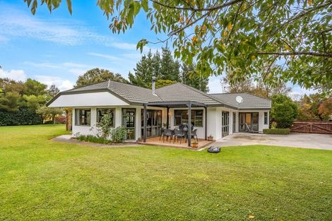 Photo of property in 80 Tararua Drive, Upper Plain, Masterton, 5888