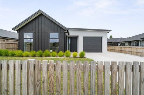 Photo of property in 205 Adler Drive, Ohauiti, Tauranga, 3112