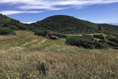 Photo of property in 445 Bird Road, Clifton, Takaka, 7183