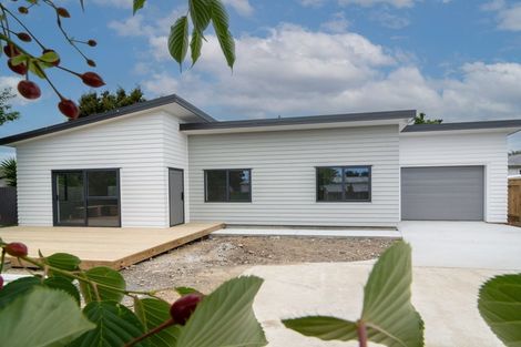 Photo of property in 34 Elizabeth Street, Levin, 5510