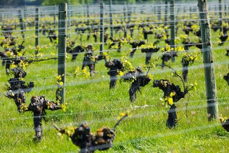 Photo of property in 35 Brighton Street, Island Bay, Wellington, 6023