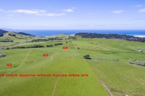 Photo of property in 60 Mangawhai Heads Road, Mangawhai Heads, Mangawhai, 0505