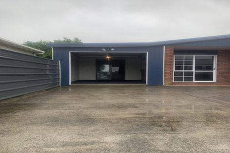 Photo of property in 20a Hira Street, Waikanae, 5036
