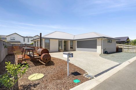 Photo of property in 24 Feltham Street, Richmond, 7020