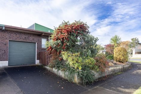 Photo of property in 6 Mount View Place, Waipukurau, 4200