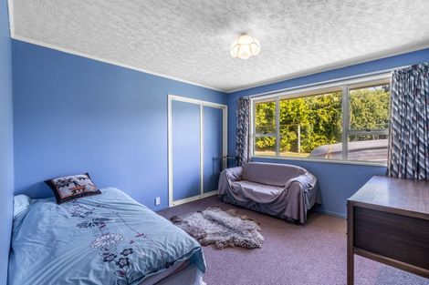 Photo of property in 231 Chesney Street, Tisbury, Invercargill, 9812