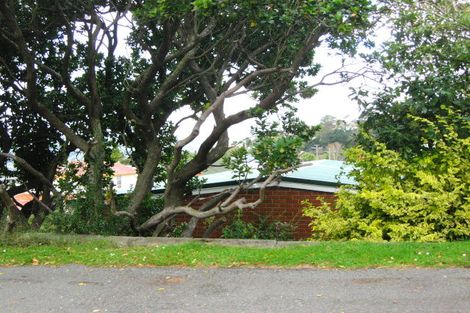 Photo of property in 163 Sidey Street, Calton Hill, Dunedin, 9012