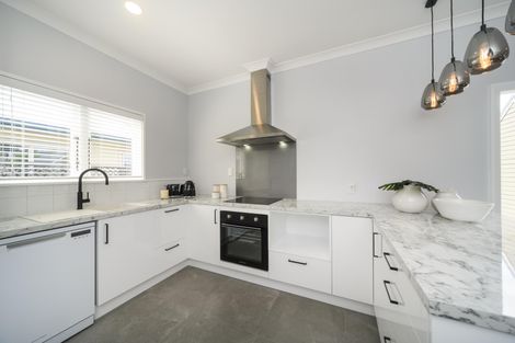 Photo of property in 29 Limbrick Street, Terrace End, Palmerston North, 4410