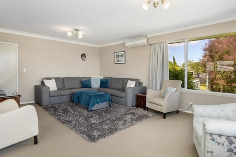 Photo of property in 11 Woods Avenue, Matua, Tauranga, 3110