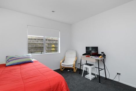 Photo of property in 23b Kentia Avenue, Mount Maunganui, 3116