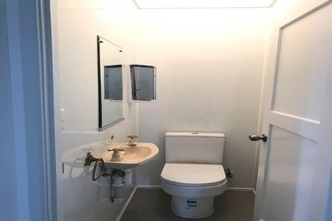 Photo of property in 22a Haig Avenue, Mount Roskill, Auckland, 1041