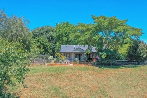 Photo of property in 443a Puketutu Road, Matamata, 3472