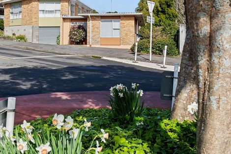 Photo of property in 1/4 Standish Street, New Plymouth, 4310