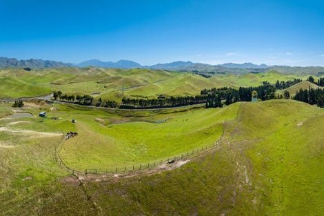 Photo of property in 363 Caseys Road, Lake Grassmere, Seddon, 7285