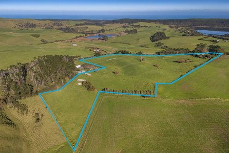 Photo of property in 2640 South Head Road, South Head, Helensville, 0874