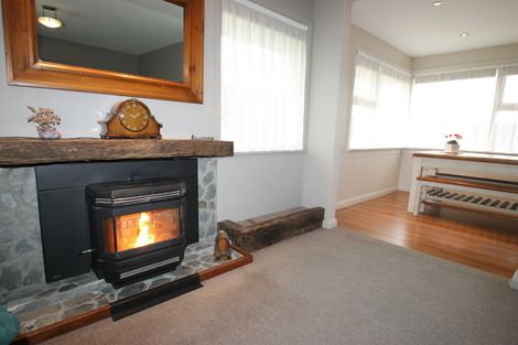 Photo of property in 107 Centennial Avenue, Helensburgh, Dunedin, 9010