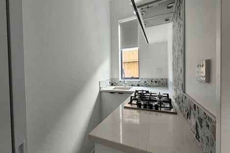 Photo of property in 213b Murphys Road, Flat Bush, Auckland, 2019