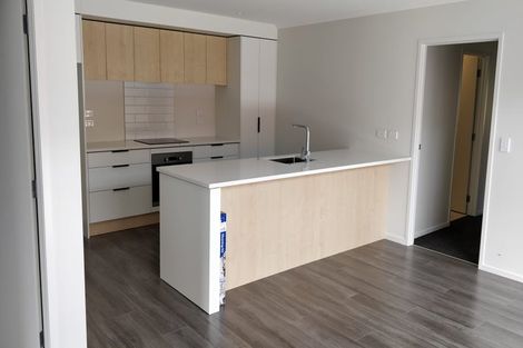 Photo of property in 11 Tupuke Lane, Horotiu, Hamilton, 3288