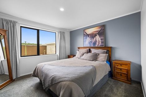 Photo of property in 17 Grove Street, Tinwald, Ashburton, 7700