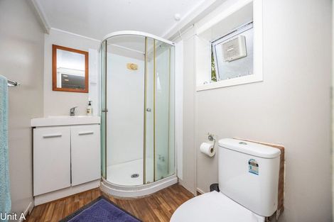 Photo of property in 103 Aurora Terrace, Hillcrest, Hamilton, 3216