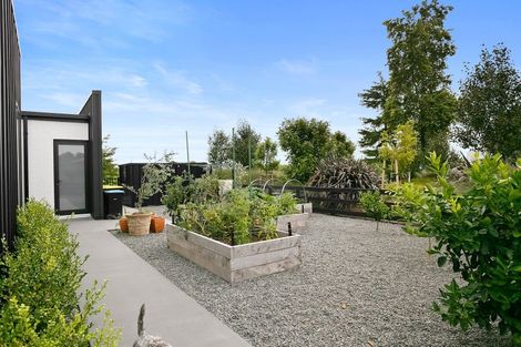 Photo of property in 1/45 Saint Kilda Road, Cambridge, 3434