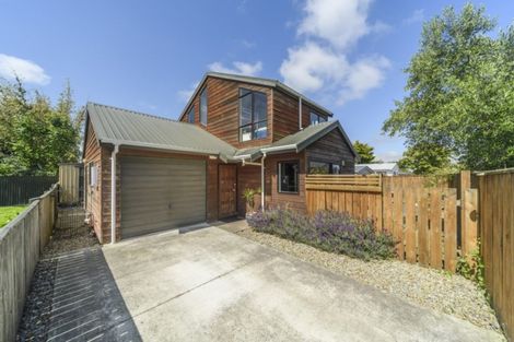 Photo of property in 522a Tremaine Avenue, Takaro, Palmerston North, 4410