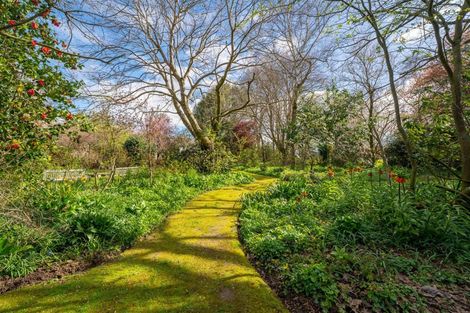 Photo of property in 20 Kauri Street, Pleasant Point, 7903