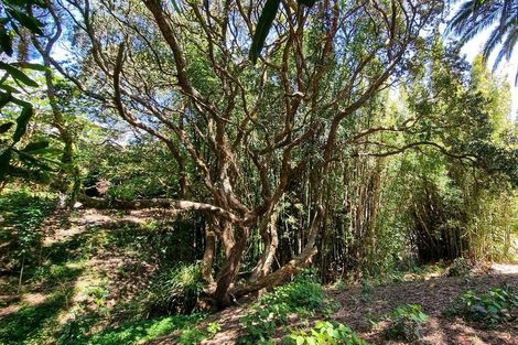 Photo of property in 57 Hauraki Road, Leigh, Warkworth, 0985