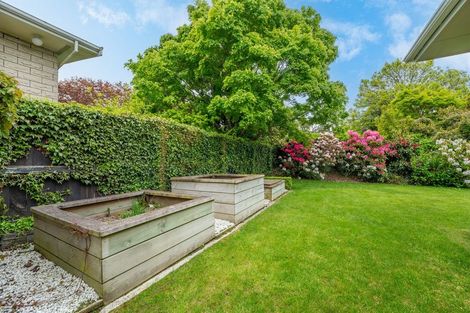 Photo of property in 427 Wai-iti Road, Gleniti, Timaru, 7910