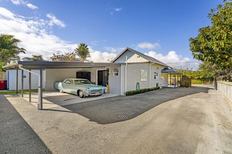 Photo of property in 33 Dunstan Street, Otaki, 5512