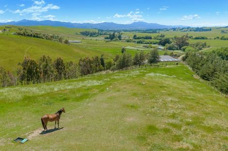 Photo of property in 670 Hawkesbury Road, Hawkesbury, Blenheim, 7272