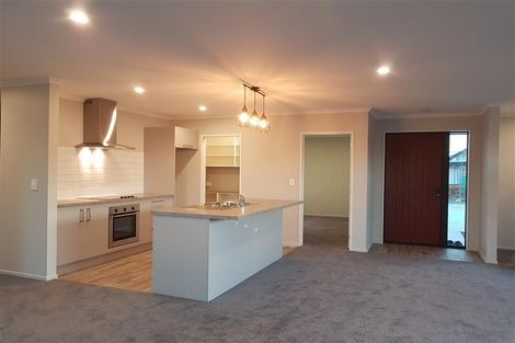 Photo of property in 9 Bonecrusher Street, Lincoln, 7608